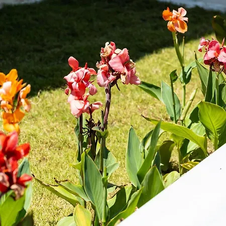 Aiora Lägenhetshotell 3*