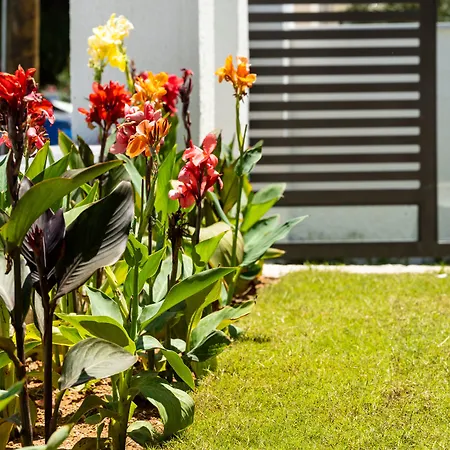 Aiora Lägenhetshotell Psakoudia