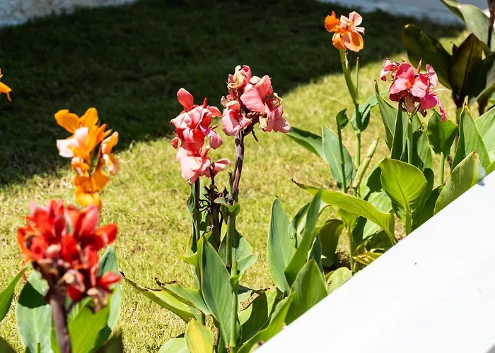 Aiora Apartahotel 3*