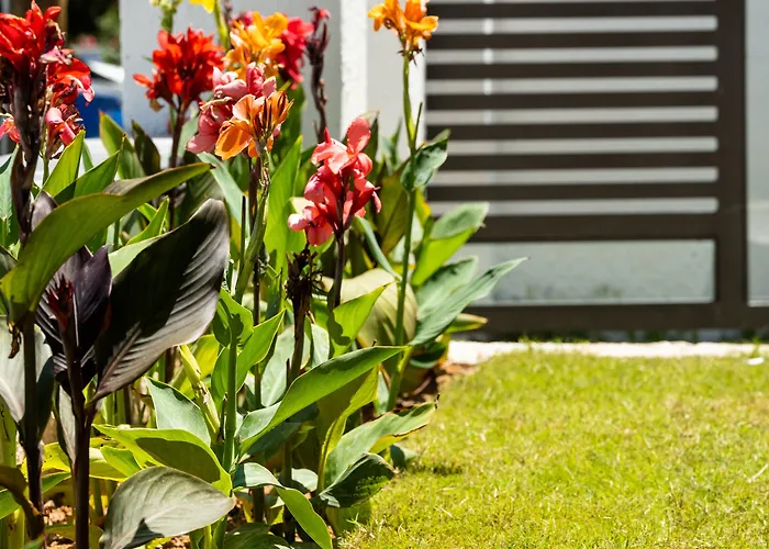 Aiora Apartahotel Psakoudia